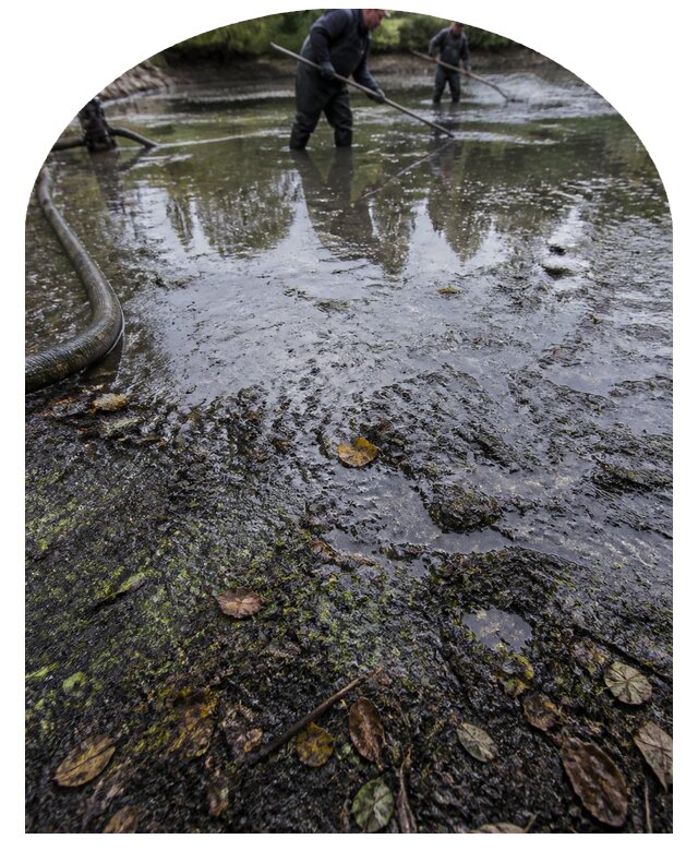 Очистка пруда в Луховицах от ила мусора и водорослей с вывозом